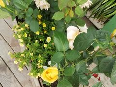 -花木兰花艺MULAN(温馨花园店)