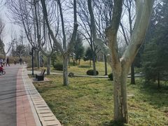 -郑州植物园