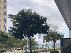 -SAANCI山池咖啡(海上世界文化艺术中心店)