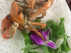 -友强·23年特色海鲜大排档(厦门店)