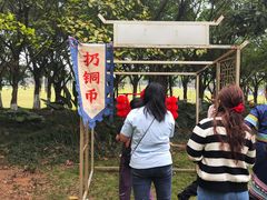 -南宁花花大世界景区