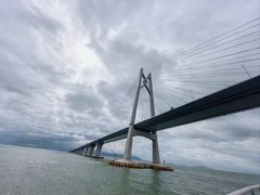 -招商蛇口邮轮母港(观光客运)