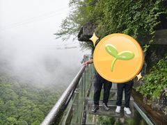 -千岛湖石林