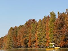 -上海海湾国家森林公园