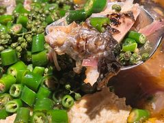 -探鱼·鲜青椒爽麻烤鱼(北京路天河城店)