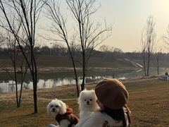 -洨河生态公园