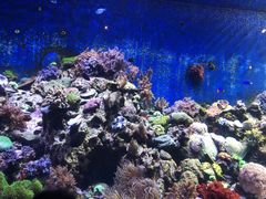 -珠海长隆海洋王国