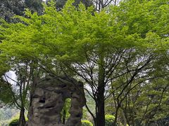 -龙头寺公园