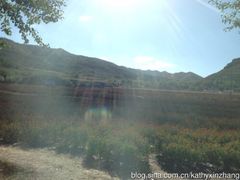 -塞罕坝国家级自然保护区