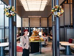 -新加坡乌节希尔顿酒店 (SG Clean)