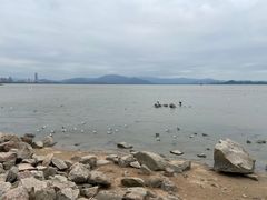 -深圳湾公园(南山区)