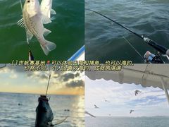 -巧克力渔家.小船海鲜胶东菜(万平口店)