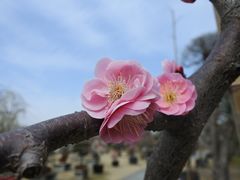 -莘庄公园