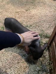 -Zoolung Zoolung动物主题公园(海信广场店)