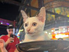 -唐人街(耀华力路)