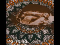 -Primo·丽莫意大利窑烤披萨