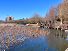 -前关湿地公园