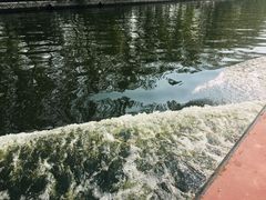-白洋淀景区