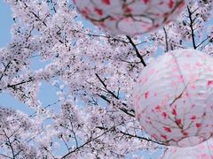 -龙美术馆(西岸馆)