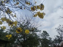 -东风公园