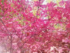 -长辛店二七公园