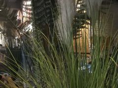 -ZooYoo佐佑咖啡(鼓楼店)