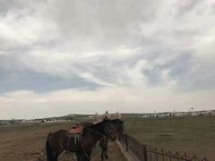 -希拉穆仁草原