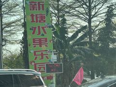 -新塘水果乐园(东洲大道店)
