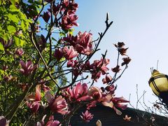 -广州市流溪河国家森林公园