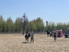 -北京群众马术培训基地