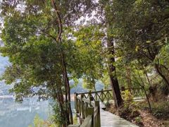 -广州市流溪河国家森林公园