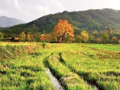 -塔川景区