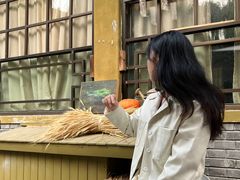 -三忘湖 SWANSEEN(柳荫公园店)