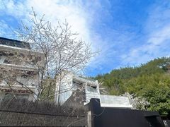 -原乡芦茨咖啡