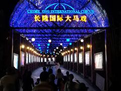 -广州长隆国际大马戏