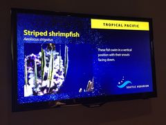 -西雅图水族馆