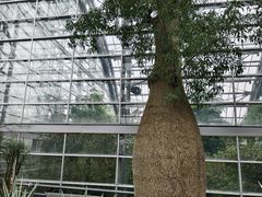 -南山植物园