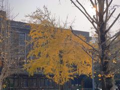 -百林公园-两江幸福广场