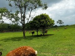 -良渚古城遗址公园