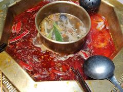 -蜀九香火锅(玉林店)