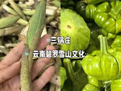 -三锅莊·牦牛肉火锅·香格里拉特色藏餐宴请餐厅(昆明创始店)