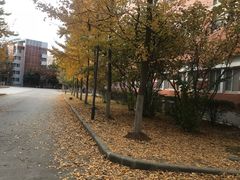 -南京外国语学校(仙林分校西区)