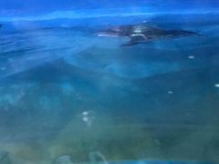 -锦艺城海洋馆