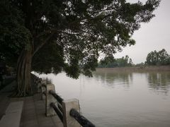 -大湾区中央湿地公园