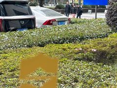 -宁波香格里拉大酒店