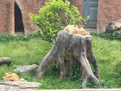 -杭州野生动物世界