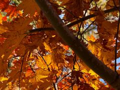 -本溪老边沟风景区