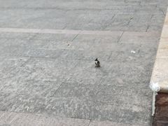 -晓港公园