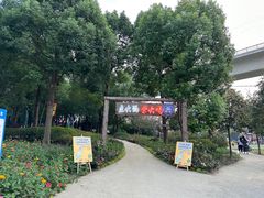-秀丽东方