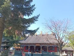 -护国法轮寺